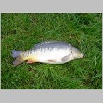 Popelov 17.9.2008 -42.JPG